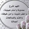صفاء علي محمد العباسي
