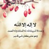 هياتم محمد علي ابوحميدة
