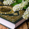 فاطمه قلم