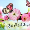 امينه ابوالربيع